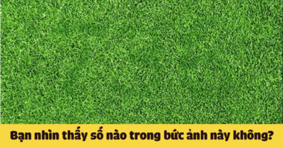 Mỗi ngày 3 câu đố: Bạn nhìn thấy số nào trong bức ảnh này không?