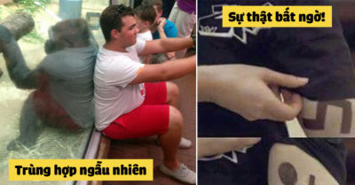 Mỗi ngày 10 ảnh hài: #8 Sự thật bất ngờ  khiến bạn cười đau bụng