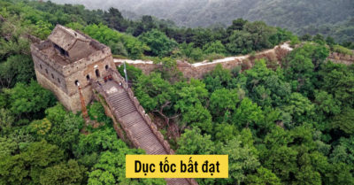 Dục tốc bất đạt là gì? Ý nghĩa của dục tốc bất đạt