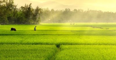 Có một thời để nhớ