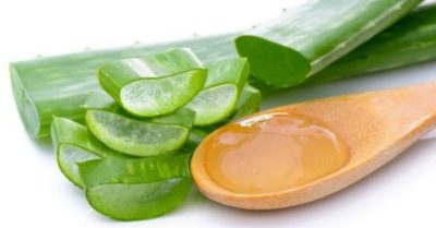 Nha đam: cây thuốc quý cho sức khỏe và làn da