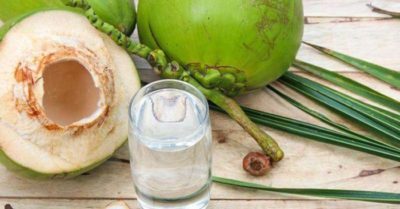 Nước dừa: nước giải khát bổ dưỡng tốt cho sức khỏe