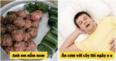 Tục ngữ Việt Nam lược giải: Anh em nắm nem; Ăn cơm với cáy thì ngáy o o, ăn cơm thịt bò thì lo ngay ngáy