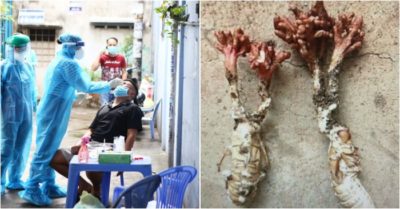 Tin nhanh 27/5: TP. HCM bùng phát ổ dịch 25 bệnh nhân; Suýt mất mạng vì ăn ve sầu giống đông trùng hạ thảo