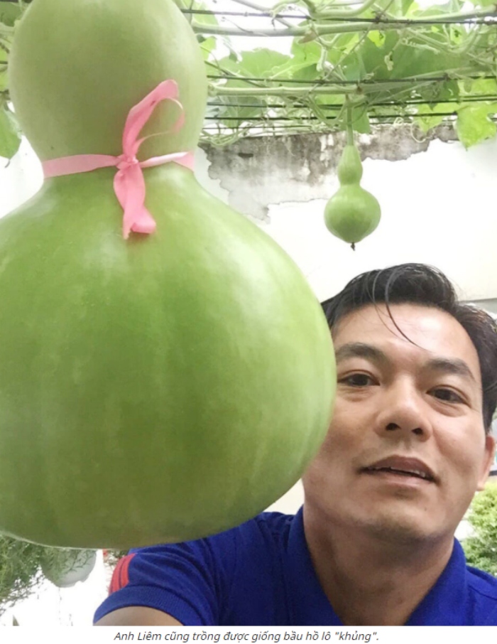Quả bí đao nặng hơn 34 kg ‘khổng lồ’ trên vườn sân thượng Sài Gòn