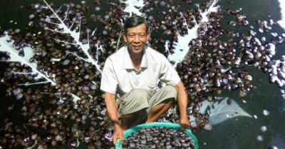 Nuôi loài thích ăn mít chín, đu đủ chín, lãi hàng trăm triệu một năm