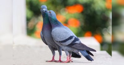 35 từ vựng tiếng Hàn về thiên nhiên