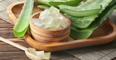 Ăn nha đam có bị vô sinh? Sự thật bất ngờ