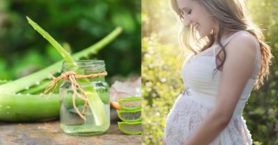 Bà bầu ăn nha đam được không? Cùng tìm lời giải đáp