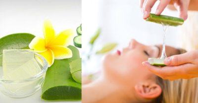 Bôi nha đam trực tiếp lên mặt có tốt không?