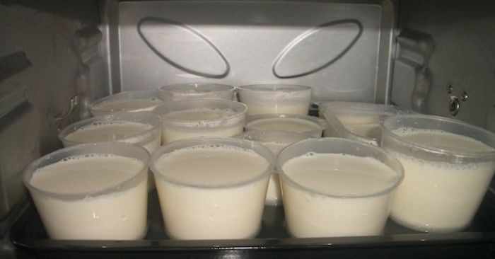 Thời gian ủ sữa chua chuẩn nhất là khoảng 6 – 8 tiếng; Cách làm sữa chua nha đam với 4 bước đơn giản.