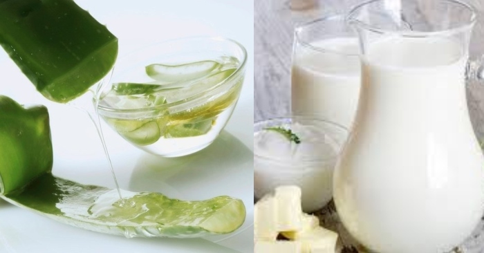 sữa tươi có chứa là axit lactic có tác dụng tẩy trắng và làm mềm mịn da rất tốt
