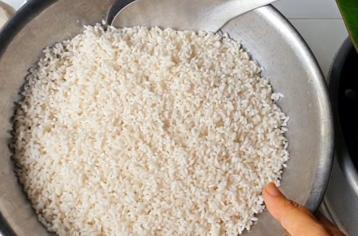 Ăn gạo nếp thường xuyên còn có thể phòng trị bệnh thiếu máu do thiếu chất sắt. Nhờ có các loại axit amin và các nguyên tố vi lượng, gạo nếp còn có khả năng kỳ diệu là tăng sự hấp thu sắt cho cơ thể khi kết hợp với một số loại thực phẩm như rau xanh, trái cây, thịt nạc.