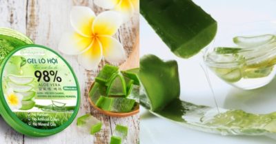 Gel nha đam là gì? Công dụng và cách sử dụng?