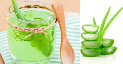 Uống nha đam mỗi ngày có tốt không? Ai không nên uống?