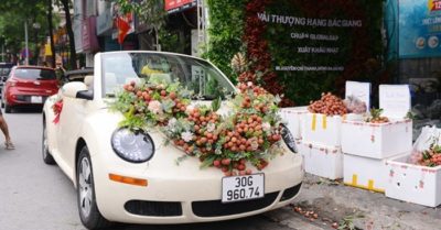 Nóng MXH: Thanh niên đi rước dâu bằng xe hoa vải thiều, sự thật là gì?