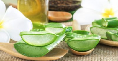 Cách làm mặt nạ nha đam dầu dừa đơn giản, hiệu quả