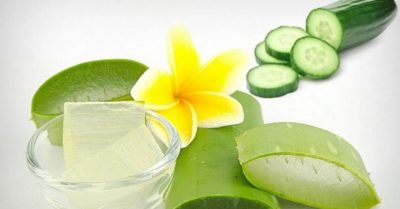 Lá nha đam: Quà tặng từ thiên nhiên cho sức khỏe con người