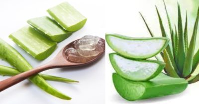 Tác hại của nha đam khi sử dụng không đúng cách