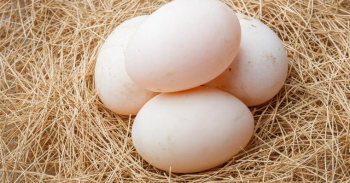 Ăn trứng vịt đúng cách: 2 nhóm người cần thận trọng