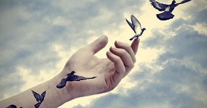 Buông Bỏ Nhẹ Lắm: Bí Quyết Sống Thanh Thản Giữa Đời Đầy Sóng Gió